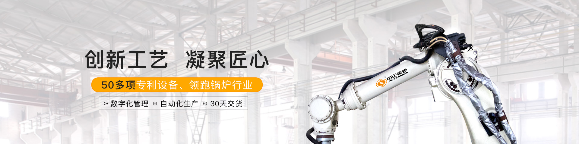 燃气锅炉环保改造工程